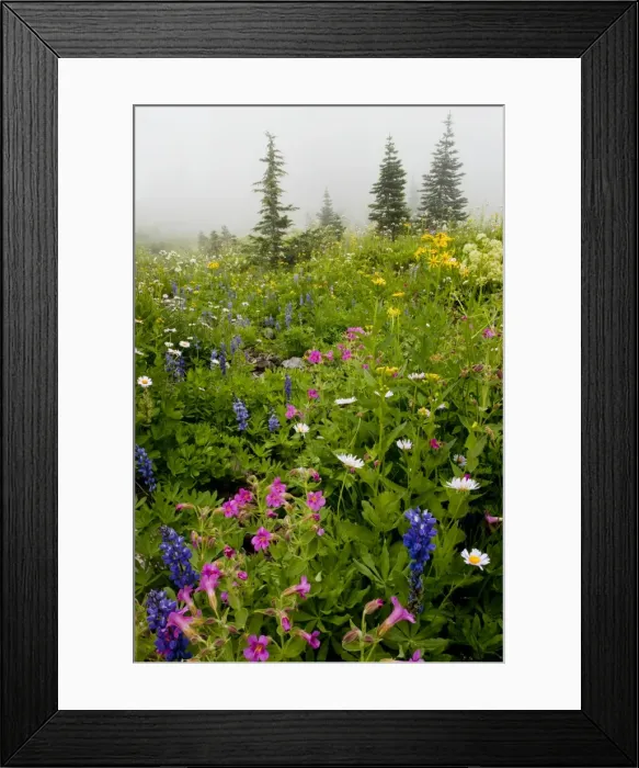 Framed Print : Picture No. 10756357 Framed Print : Picture No. 10756357