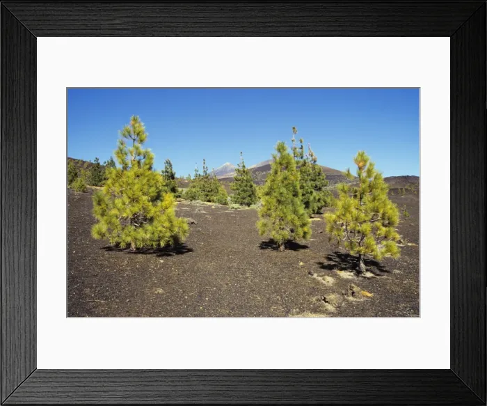 Framed Print : Picture No. 10760580 Framed Print : Picture No. 10760580