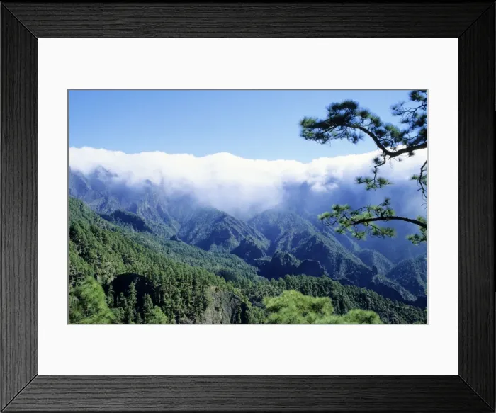 Framed Print : Picture No. 10760578 Framed Print : Picture No. 10760578