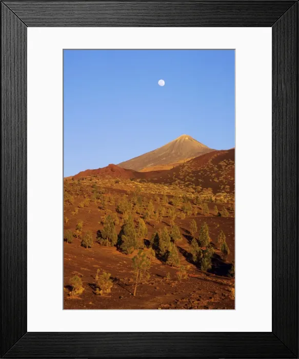 Framed Print : Picture No. 10760579 Framed Print : Picture No. 10760579