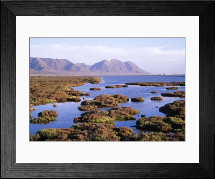 Framed Print : Picture No. 10760600