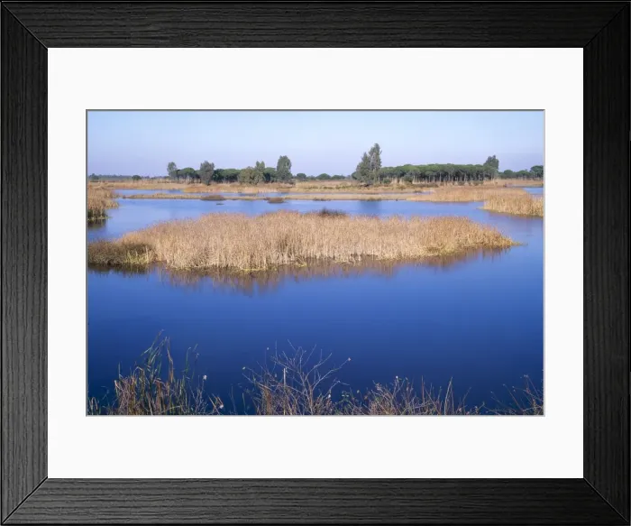 Framed Print : Picture No. 10760601 Framed Print : Picture No. 10760601