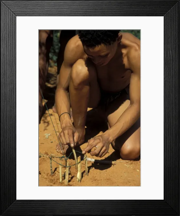 Framed Print : Picture No. 10760657 Framed Print : Picture No. 10760657