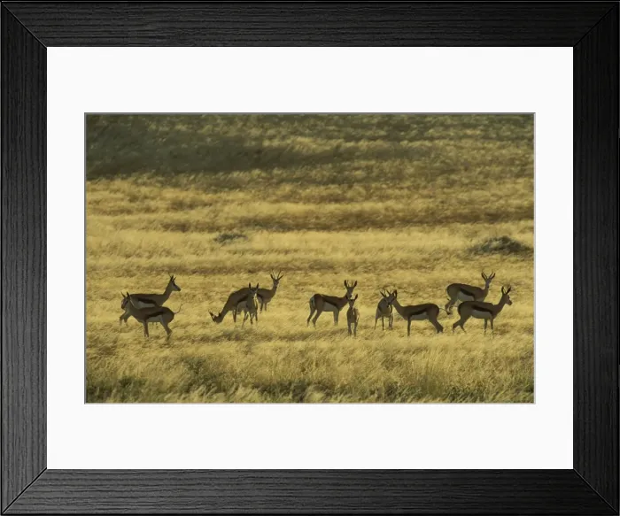 Framed Print : Picture No. 10760660 Framed Print : Picture No. 10760660