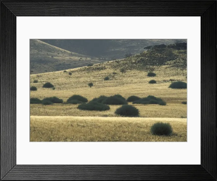 Framed Print : Picture No. 10760666 Framed Print : Picture No. 10760666