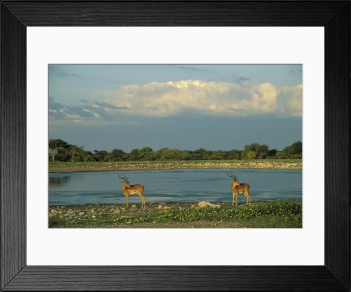 Framed Print : Picture No. 10760674 Framed Print : Picture No. 10760674