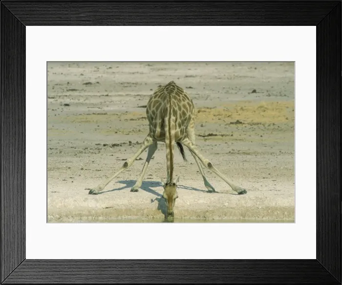 Framed Print : Picture No. 10760667 Framed Print : Picture No. 10760667