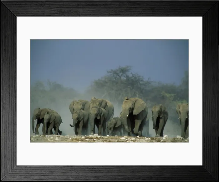 Framed Print : Picture No. 10760679 Framed Print : Picture No. 10760679