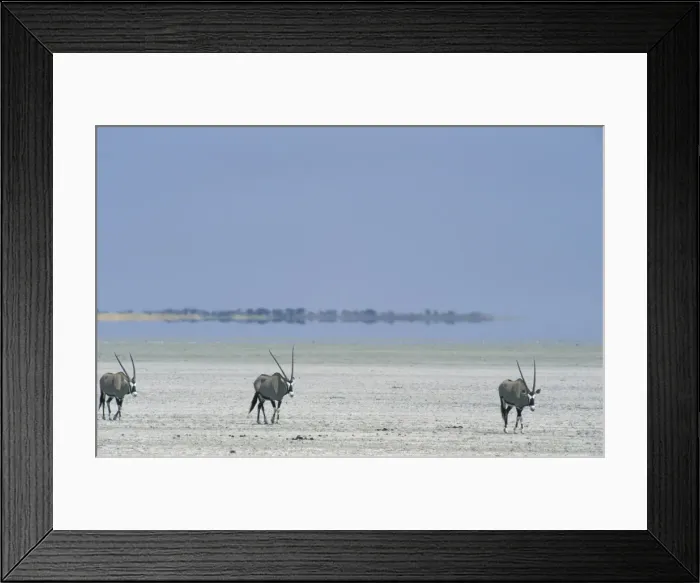 Framed Print : Picture No. 10760672 Framed Print : Picture No. 10760672