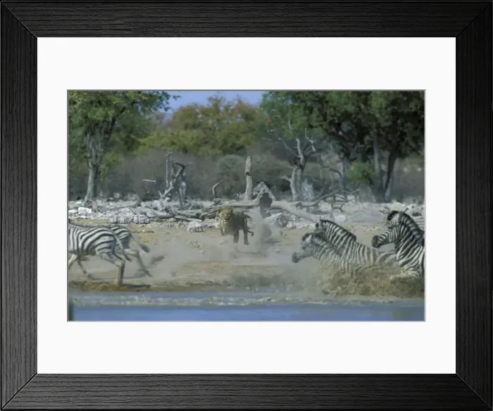 Framed Print : Picture No. 10760675 Framed Print : Picture No. 10760675