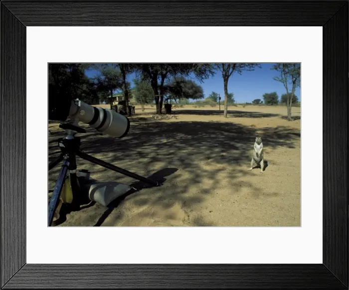 Framed Print : Picture No. 10760687 Framed Print : Picture No. 10760687