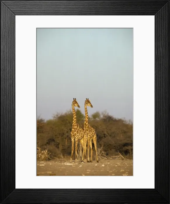 Framed Print : Picture No. 10760682 Framed Print : Picture No. 10760682