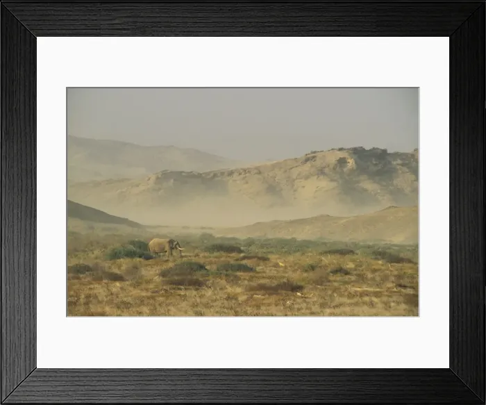 Framed Print : Picture No. 10760697 Framed Print : Picture No. 10760697