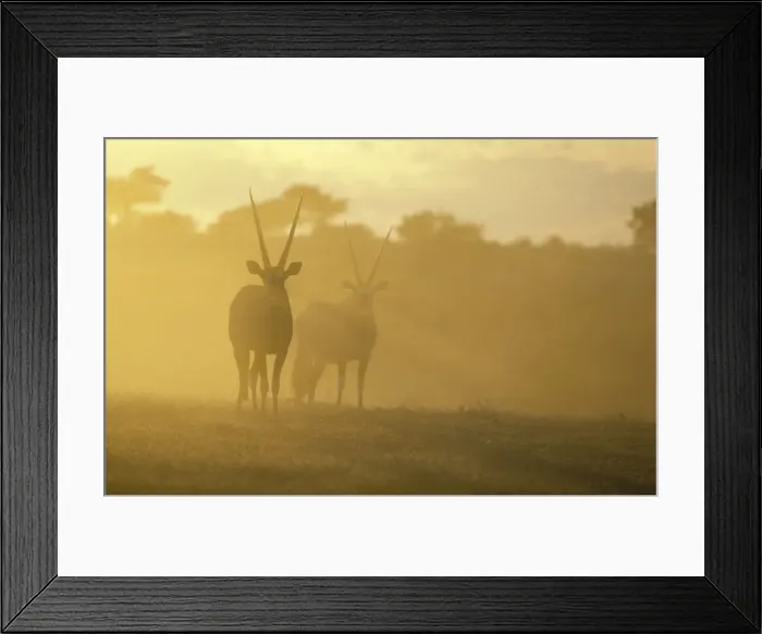 Framed Print : Picture No. 10760704 Framed Print : Picture No. 10760704
