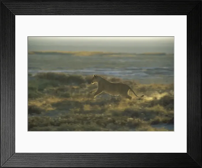 Framed Print : Picture No. 10760700