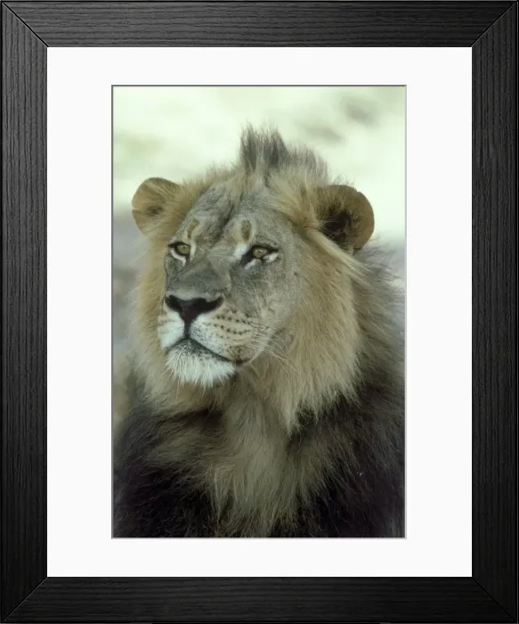 Framed Print : Picture No. 10760707 Framed Print : Picture No. 10760707