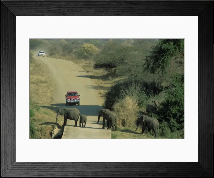 Framed Print : Picture No. 10760712 Framed Print : Picture No. 10760712