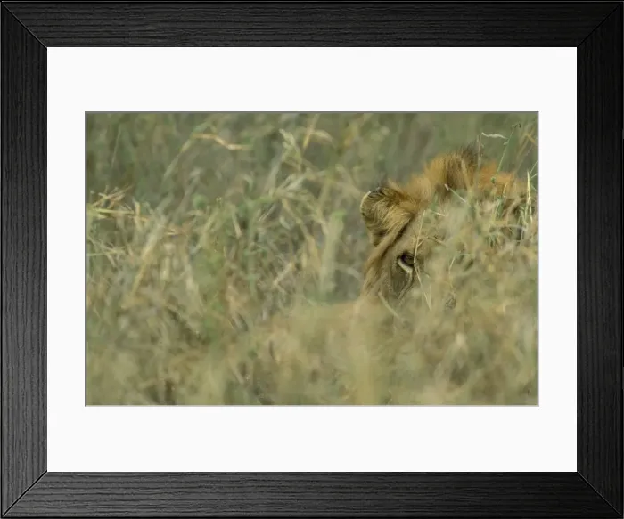 Framed Print : Picture No. 10760717 Framed Print : Picture No. 10760717