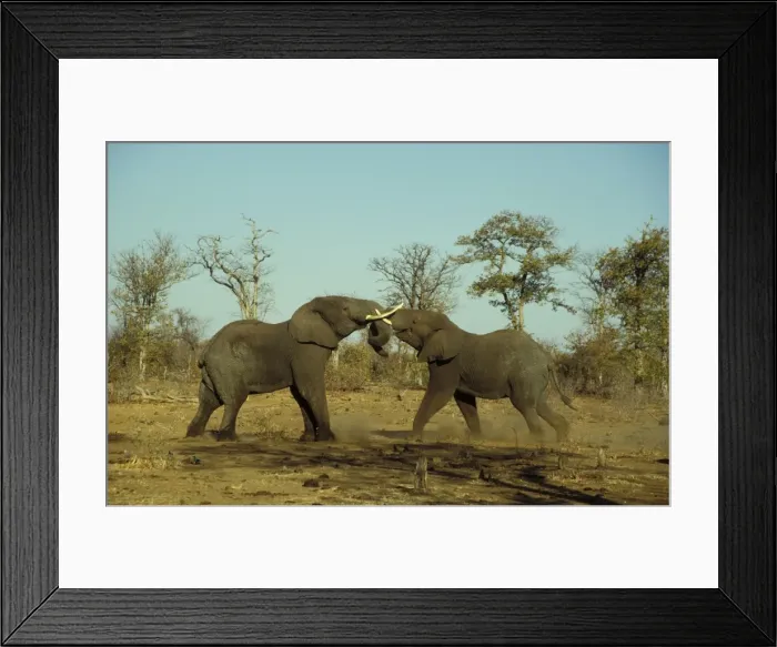 Framed Print : Picture No. 10760715 Framed Print : Picture No. 10760715