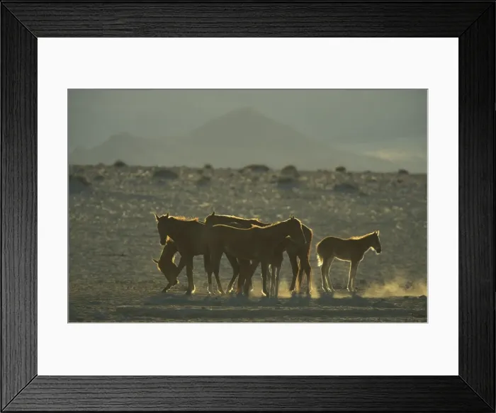 Framed Print : Picture No. 10760734 Framed Print : Picture No. 10760734