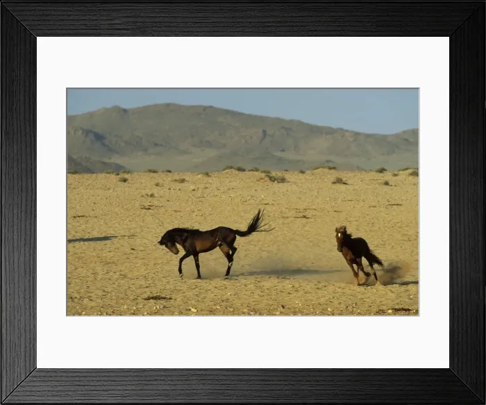 Framed Print : Picture No. 10760736 Framed Print : Picture No. 10760736