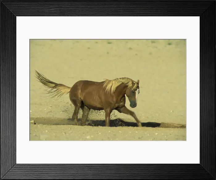Framed Print : Picture No. 10760737 Framed Print : Picture No. 10760737