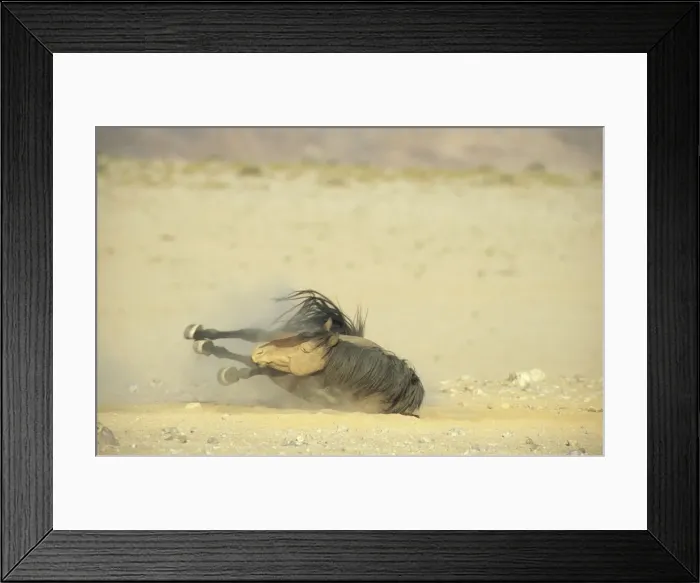 Framed Print : Picture No. 10760732 Framed Print : Picture No. 10760732