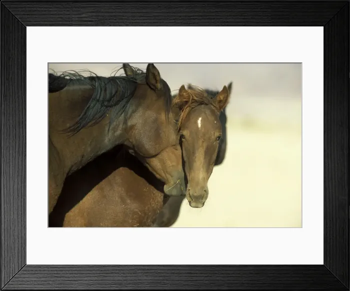 Framed Print : Picture No. 10760742 Framed Print : Picture No. 10760742