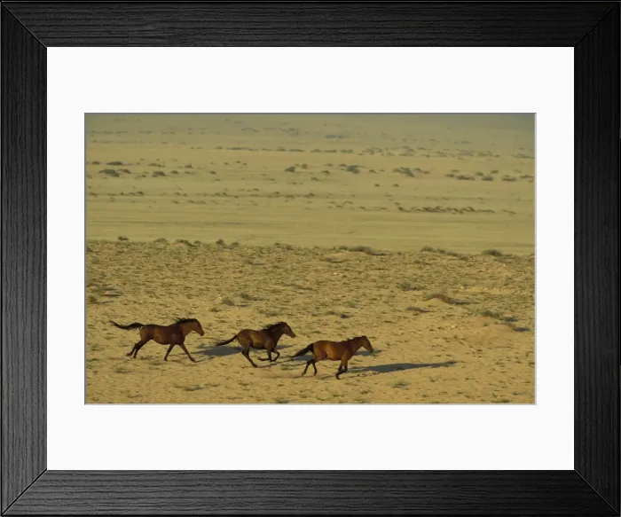 Framed Print : Picture No. 10760738 Framed Print : Picture No. 10760738