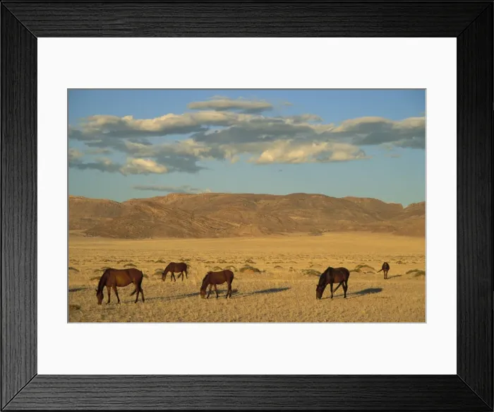 Framed Print : Picture No. 10760740 Framed Print : Picture No. 10760740