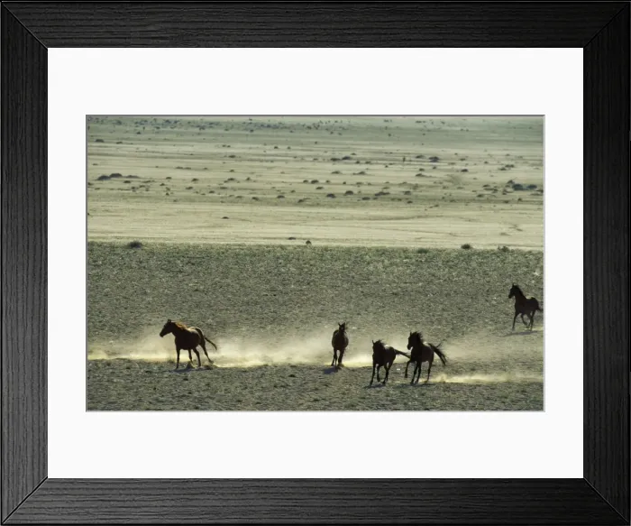 Framed Print : Picture No. 10760743 Framed Print : Picture No. 10760743