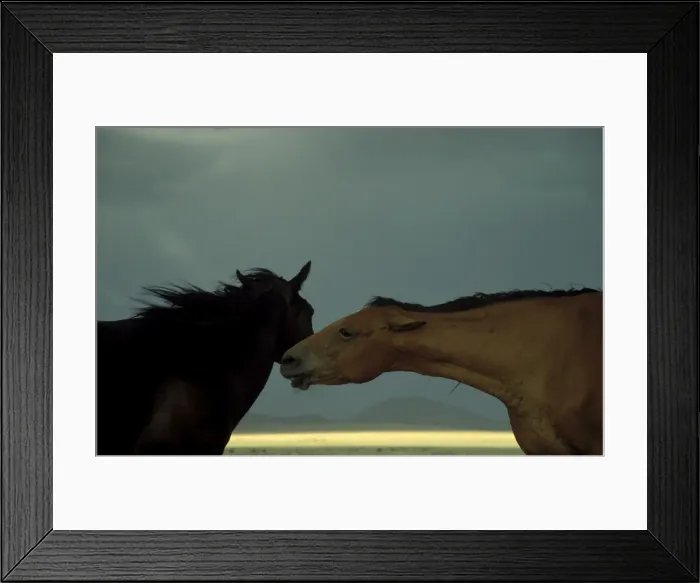 Framed Print : Picture No. 10760744 Framed Print : Picture No. 10760744