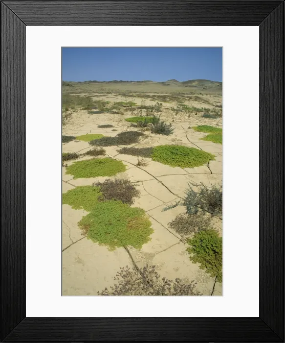 Framed Print : Picture No. 10760745 Framed Print : Picture No. 10760745