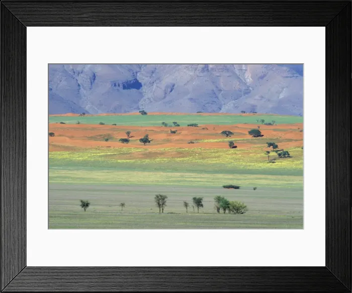 Framed Print : Picture No. 10760748