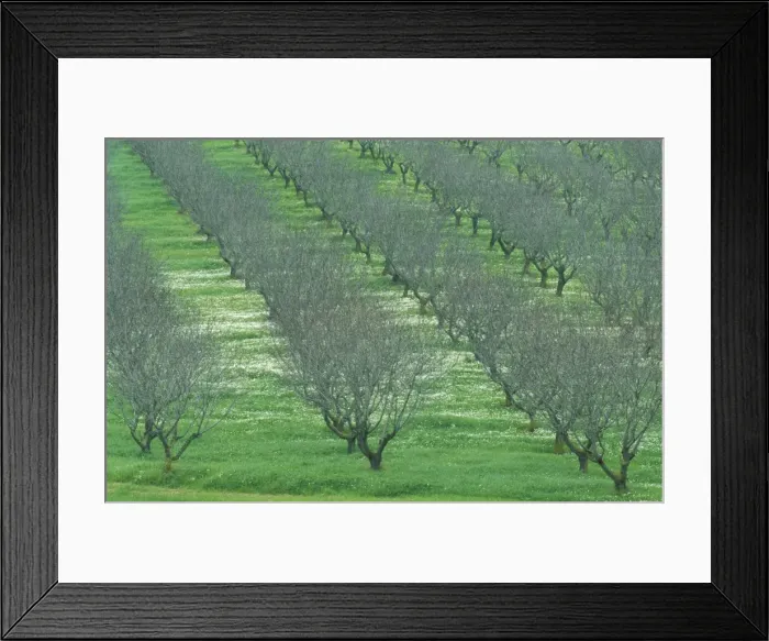 Framed Print : Picture No. 10760757 Framed Print : Picture No. 10760757