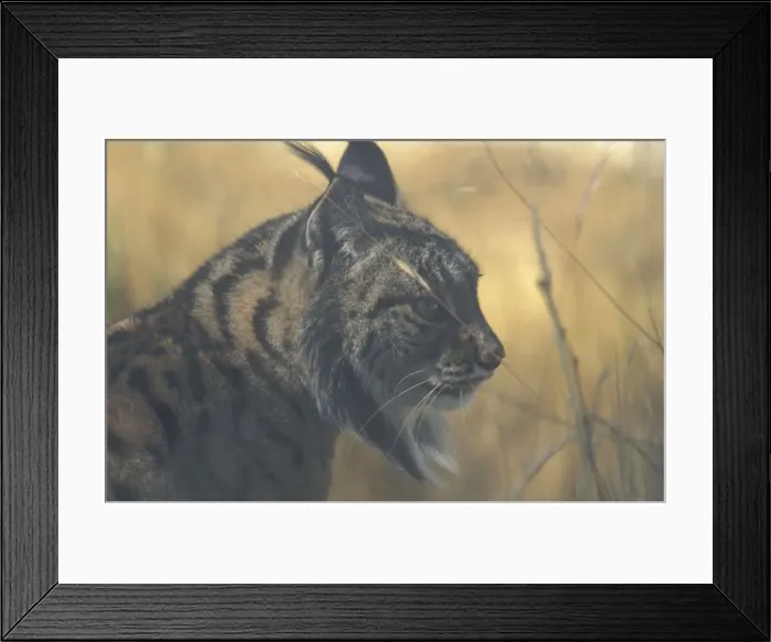 Framed Print : Picture No. 10760760 Framed Print : Picture No. 10760760