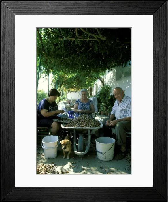 Framed Print : Picture No. 10760765 Framed Print : Picture No. 10760765