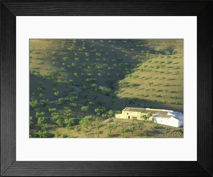 Framed Print : Picture No. 10760763 Framed Print : Picture No. 10760763