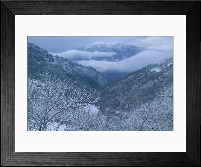 Framed Print : Picture No. 10760768 Framed Print : Picture No. 10760768