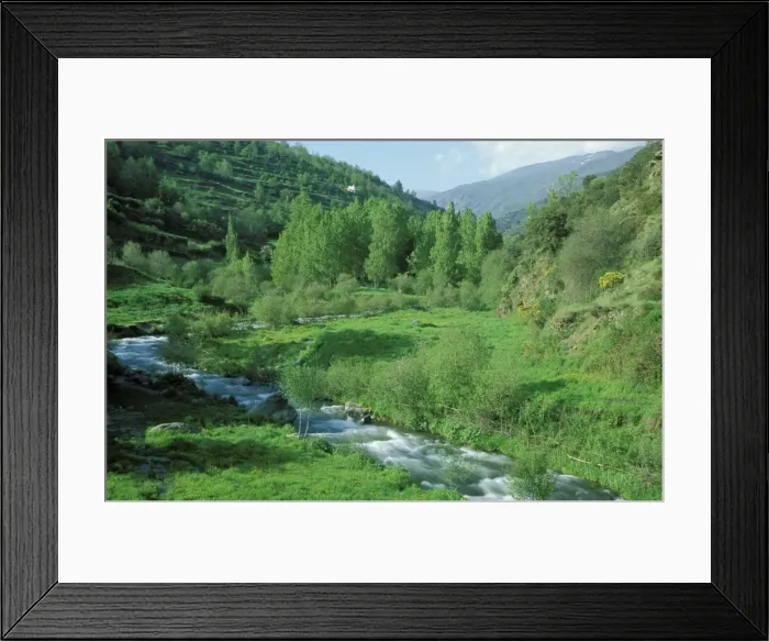 Framed Print : Picture No. 10760769 Framed Print : Picture No. 10760769