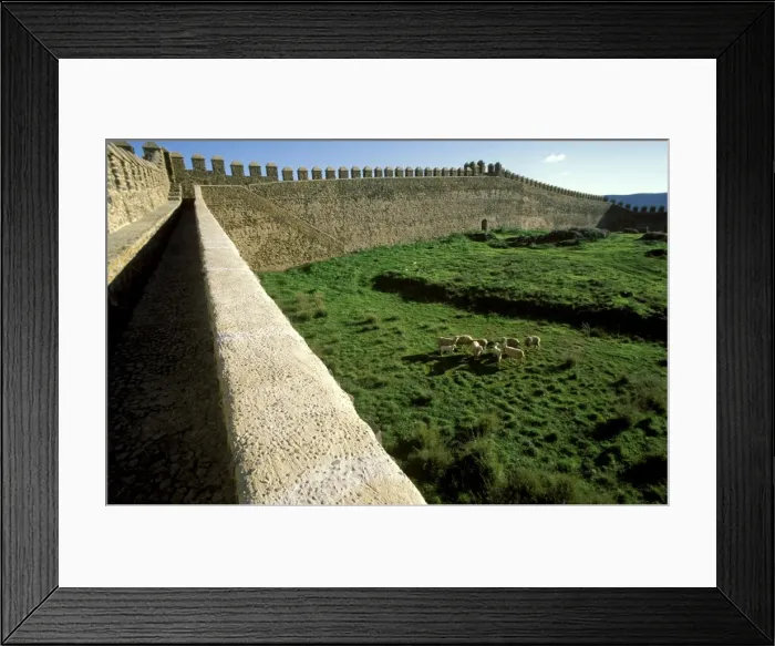 Framed Print : Picture No. 10760771 Framed Print : Picture No. 10760771