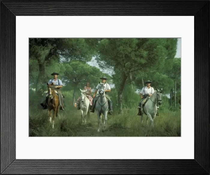 Framed Print : Picture No. 10760782 Framed Print : Picture No. 10760782