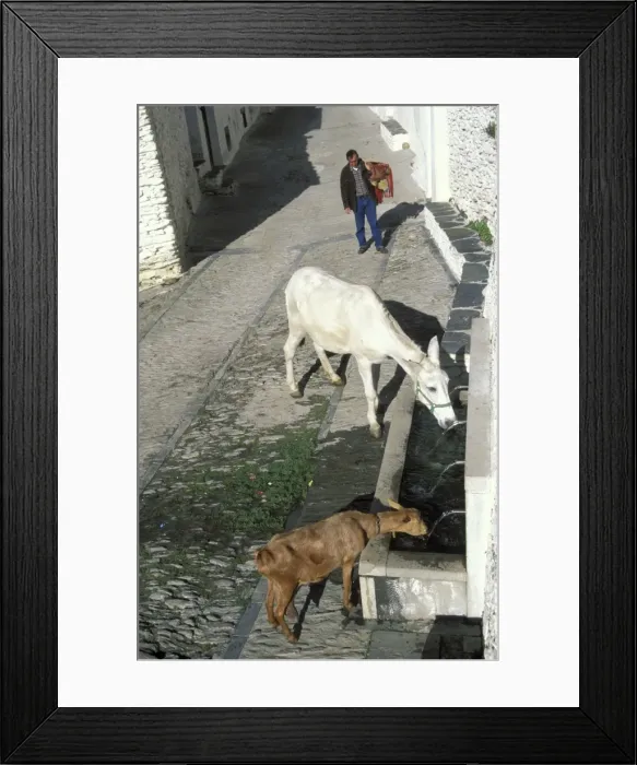 Framed Print : Picture No. 10760774 Framed Print : Picture No. 10760774