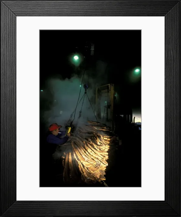 Framed Print : Picture No. 10760790 Framed Print : Picture No. 10760790