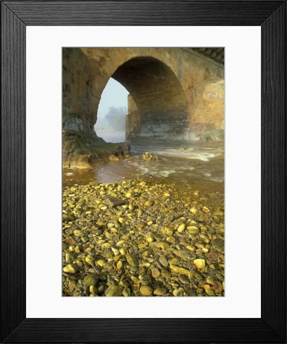 Framed Print : Picture No. 10760794