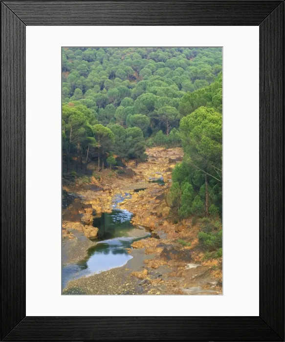 Framed Print : Picture No. 10760792 Framed Print : Picture No. 10760792