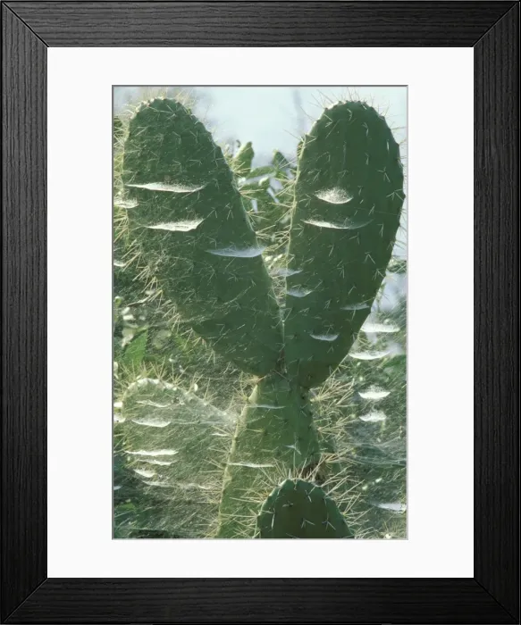 Framed Print : Picture No. 10760800 Framed Print : Picture No. 10760800
