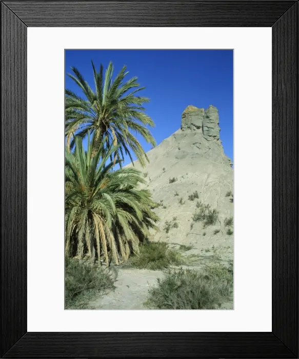 Framed Print : Picture No. 10760805 Framed Print : Picture No. 10760805
