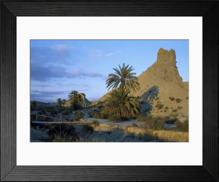 Framed Print : Picture No. 10760813 Framed Print : Picture No. 10760813