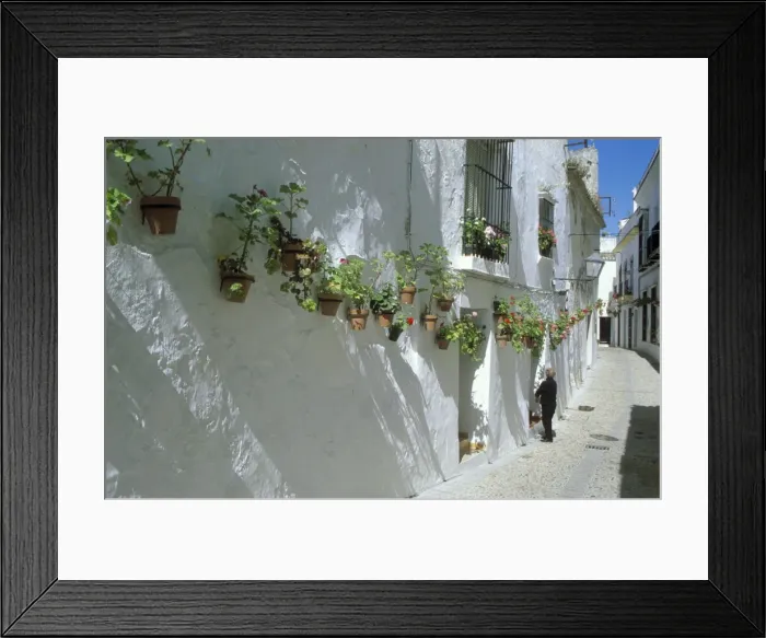 Framed Print : Picture No. 10760808 Framed Print : Picture No. 10760808